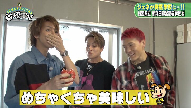 白濱亜嵐、トマト嫌いを克服なるか？　GENERATIONSが新潟の農業高校を訪問