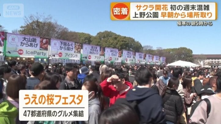 うえの桜フェスタ