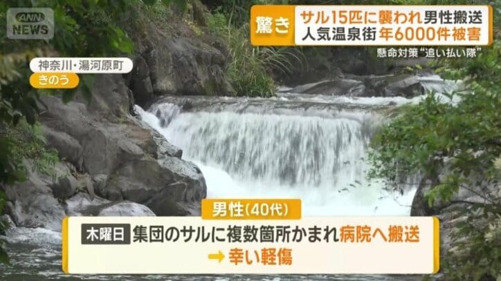 15匹に襲われ男性搬送も