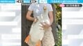 飼い主「うちの犬」←抱きかかえられるアヒルの姿に「大人しくしてて可愛い」「こんなに人に慣れるのか」と反響