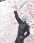 人気コスプレイヤー・ウィル、満開の桜を愛でる「呪術廻戦」五条悟コスに「美しすぎ」「顔面国宝」の声