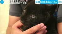 カメラが捉えた!話題の動画ニュース【月~金 更新】 -  - 動物赤ちゃん3連発 可愛い姿 初お披露目 (19日配信) | 動画視聴は【Abemaビデオ(AbemaTV)】