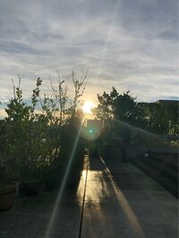 市川海老蔵『今夜は』