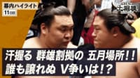 幕内全取組ハイライト|5月場所 11日日 5.20