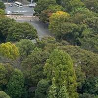 かとうかず子『おはようございます』