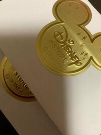 ミス・モンゴル『夢の国へ』