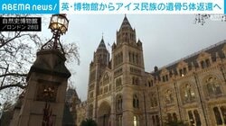 アイヌ民族の遺骨5体 英・自然史博物館から日本側に返還へ