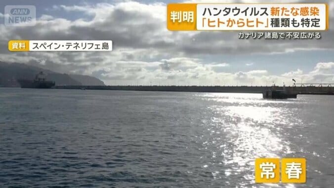 「常春」と呼ばれるほど温暖　自然豊かなテネリフェ島