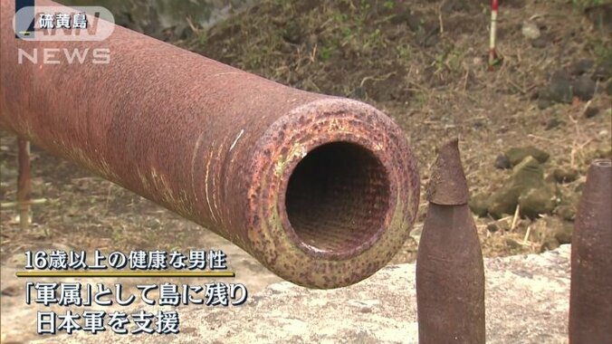 16歳以上の健康な男性
