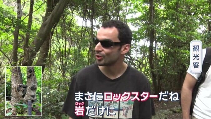 見た目のフシギさから…