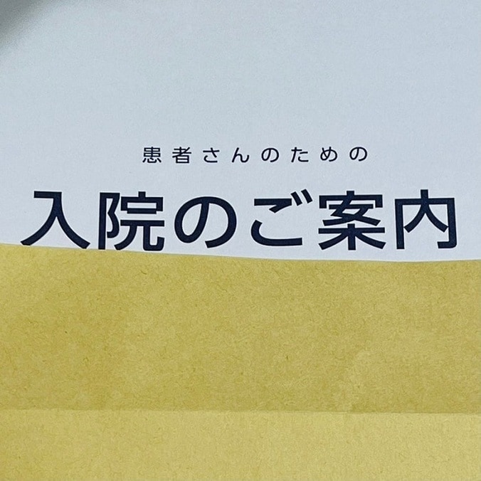  だいたひかる、医師と話して手術が決定したことを報告「入院手続きに時間がかかり」  1枚目