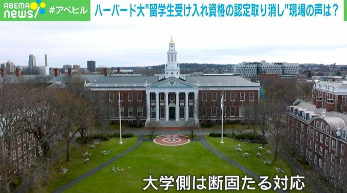 ハーバード大学