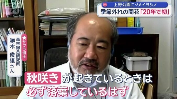 森林総合研究所　勝木俊雄さん