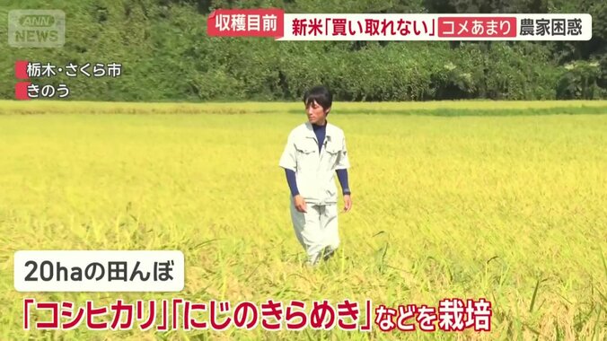 岡田農園の岡田伸幸さん