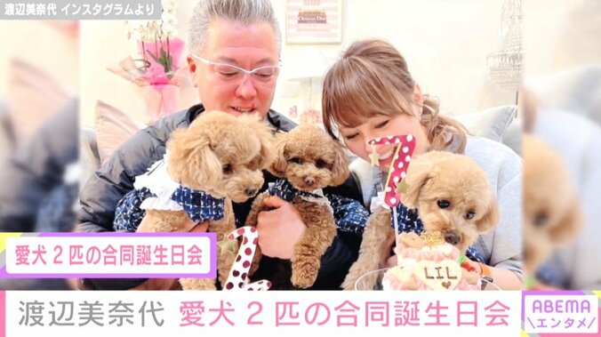 渡辺美奈代、愛犬2匹の合同誕生日会を開催 成長の記録をスライドショーで紹介「いつもありがとう」 1枚目