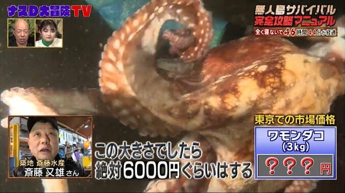 サメに襲われる危険も顧みず…ナスD、海の中で巨大ダコと繰り広げた死闘 3枚目