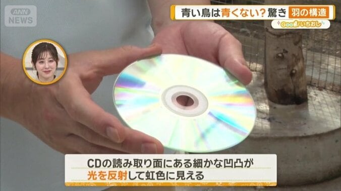 CDの読み取り面
