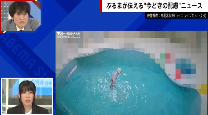 【写真・画像】ラッコのライブ配信に謎のモザイクが出現…「過度な言動」から飼育員を守るため 鳥羽水族館　1枚目