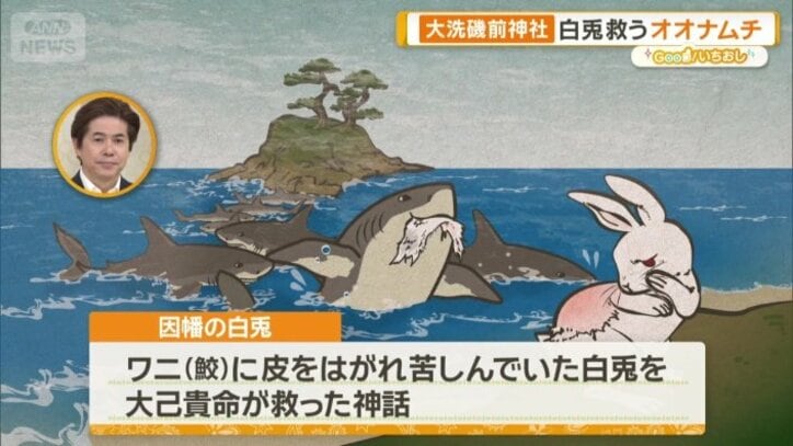 大己貴命はウサギを手当て