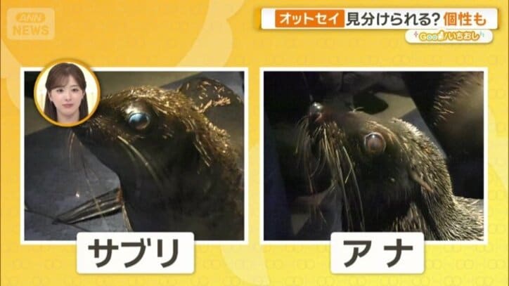 比較すると…