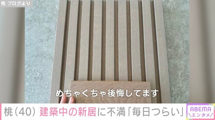 【写真・画像】桃（40）、建築中の新居に不満「毎日つらい気持ちになっているのです…」　2枚目