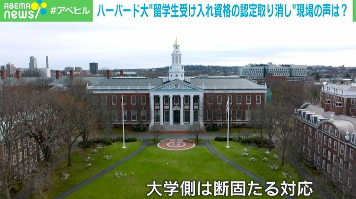 ハーバード大学