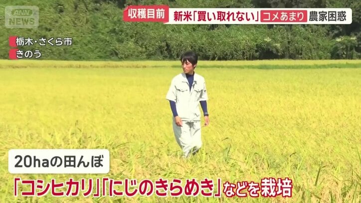 岡田農園の岡田伸幸さん