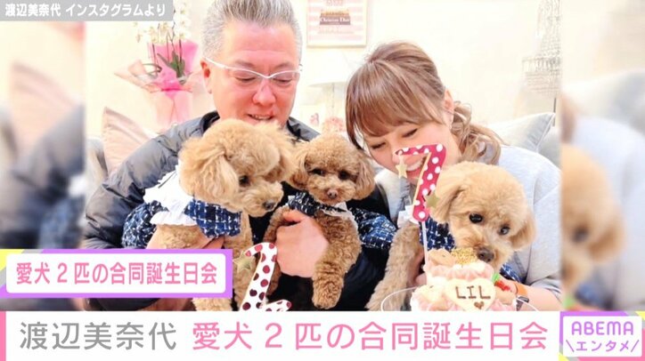 渡辺美奈代、愛犬2匹の合同誕生日会を開催 成長の記録をスライドショーで紹介「いつもありがとう」