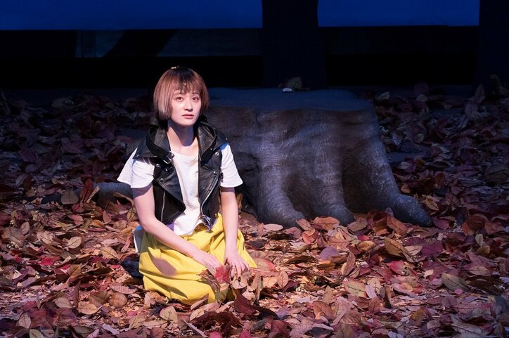 沢尻エリカ主演『猫は抱くもの』“猫の日”に擬人化猫キャスト発表　劇伴は「水曜日のカンパネラ」