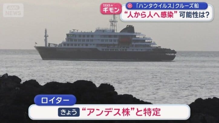 “アンデス株”と特定