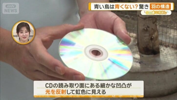 CDの読み取り面