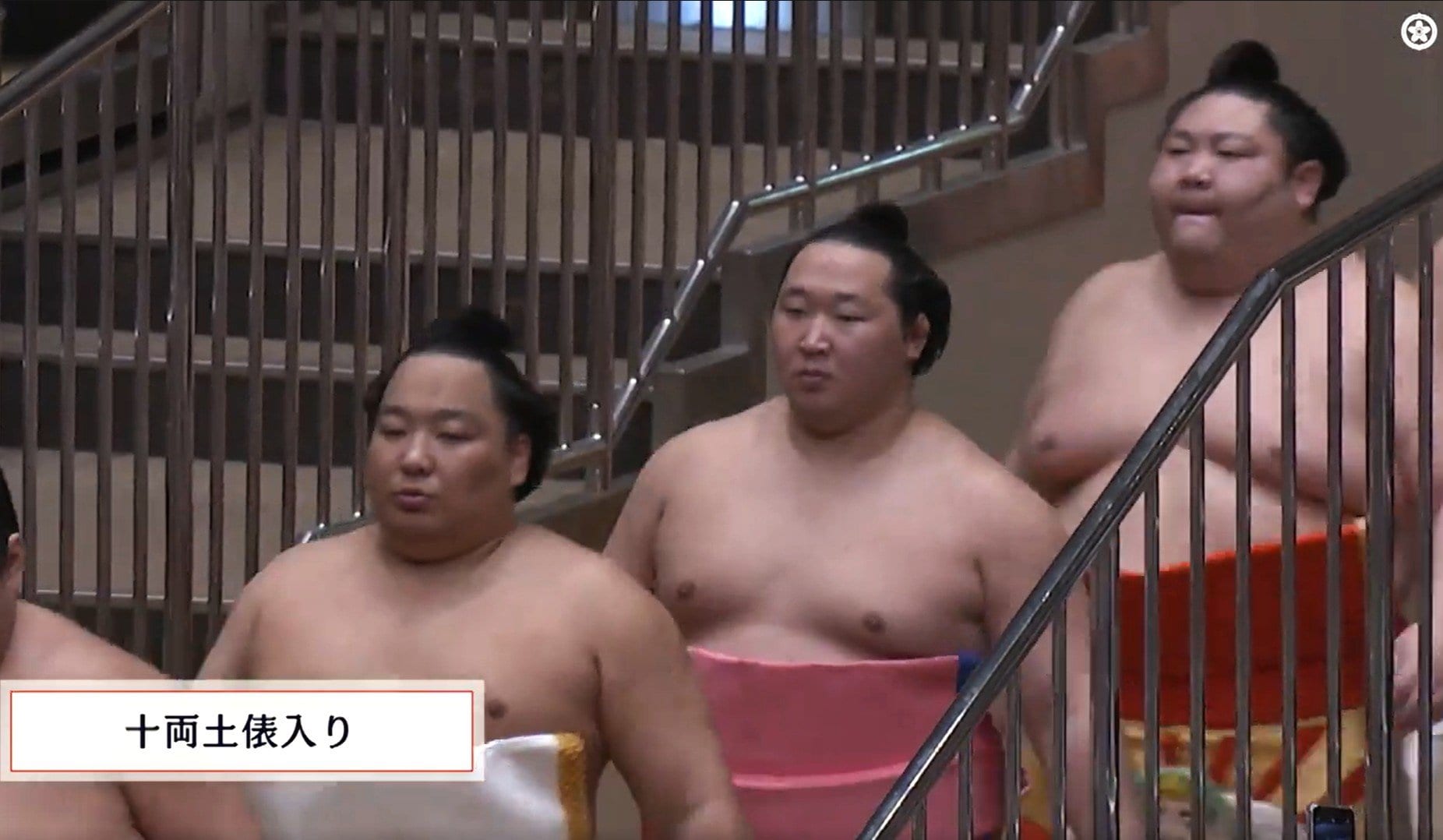 【写真・画像】あれ、人気力士の化粧まわしに著名人のイラストが… 十両力士の腰には“世界的人気漫画”の人物も 初場所土俵入りで注目の一コマ 2枚目