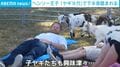 「オー!」子ヤギが下半身に…!? 流行りの「ヤギヨガ」にヘンリー王子が参加 まさかのアクシデントに驚き イギリス