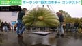 優勝は驚異の546kg!“巨大カボチャ”コンテスト 白やオレンジ、さまざまな品種が並ぶ ポーランド