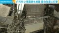 八代市 い草農家も被害 畳の生産に打撃