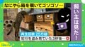 猫がイタズラして3秒後…飼い主に気づいた瞬間の“笑撃リアクション”に「可愛い泥棒」ネット民が笑顔に