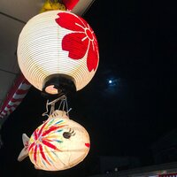 小林麻耶『ランチに行ったらサプライズ!』