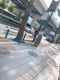 渡辺美奈代『お仕事中の奥さま』