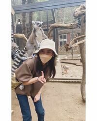 佐々木希＆キツネザルのふれあい2ショットにファンも笑顔「スゴい」「めんこい」「癒された」の声