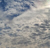 モト冬樹『容姿いじり』