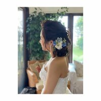 蒼井そら『ハワイで挙式してきました。』