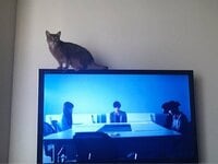 桃『顔の余白がすごい!!!(大学時代)』