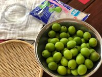 イモトアヤコ『ていねいな暮らし』