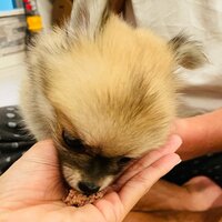 ココリコ遠藤嫁『検査結果』