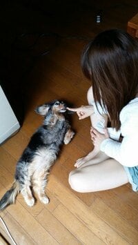 後藤真希『タカちゃん』