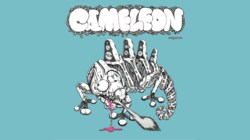 migoren、5年ぶりのフルアルバム「Cameleon」をリリース！！Sheef the 3rd、COCKROACHEEE'z、METEOR、FortuneD、焚巻、万寿など、総勢31名のアーティストをフィーチャリングした全21曲の大作！！