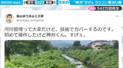 「神刈くんすげぇ」爽快感バツグンのラジコン草刈り機 40分で辺り一面まっさらに