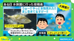 水族館で大興奮しているお兄さん “まさかの理由”に「水陸超えた仲間に会える幸せ」「素敵な人に違いない」ネット爆笑