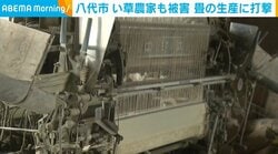 八代市 い草農家も被害 畳の生産に打撃