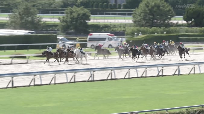 【映像】「可愛い顔して差す」白毛馬が大外から“ぶっこ抜き”